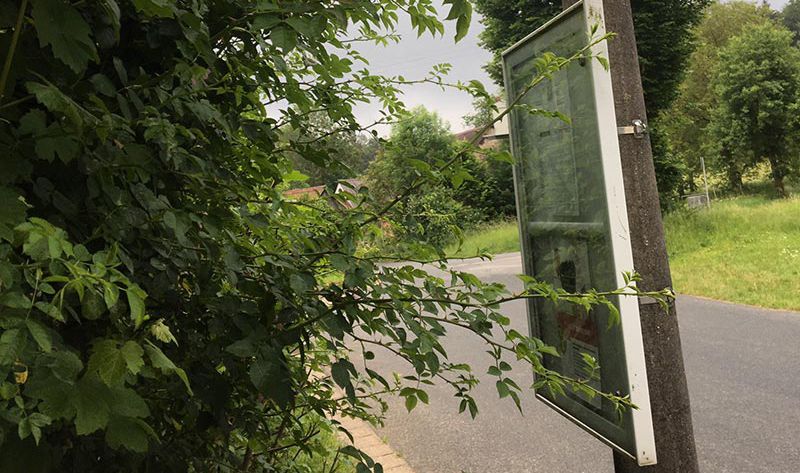 Zugewucherte Bushaltestelle