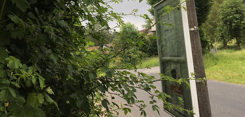 Ein Negativbeispiel für Haltestellenpflege | Bildrechte: Interlink GmbH